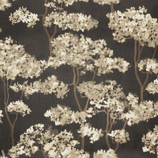 Hanara MIR505 packshot