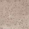 Herbaria behang-Glamora-1-GlamDecor-M2-Selected Wallpapers-Interiors