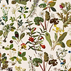 Herbarium behang-House of Hackney-wallpaper-tapete-Ecru-200 cm-Selected-Wallpapers-Interiors