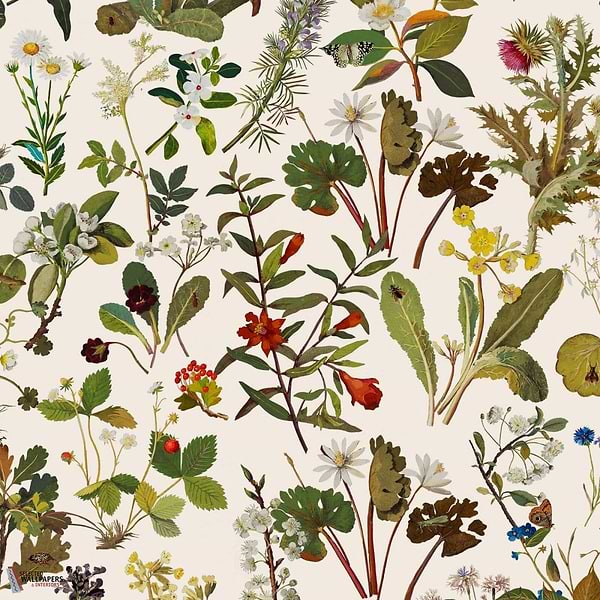 Herbarium behang-House of Hackney-wallpaper-tapete-Ecru-200 cm-Selected-Wallpapers-Interiors