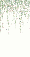 Hummingbirds Flora-Cole & Son-Blush / Sage & Mulberry on Cream-Set-Selected-Wallpapers-Interiors