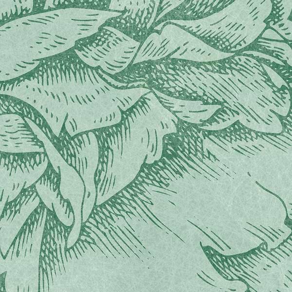 Herbarium behang-behang-Inkiostro Bianco-Selected Wallpapers &amp; Interiors