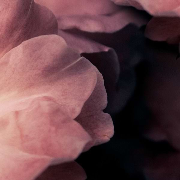 Aroma behang-behang-Inkiostro Bianco-Selected Wallpapers &amp; Interiors