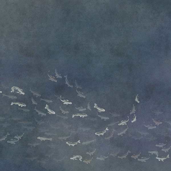Koi-Behang-Tapete-Coordonne-Dark-Non Woven-6600082N-Selected Wallpapers