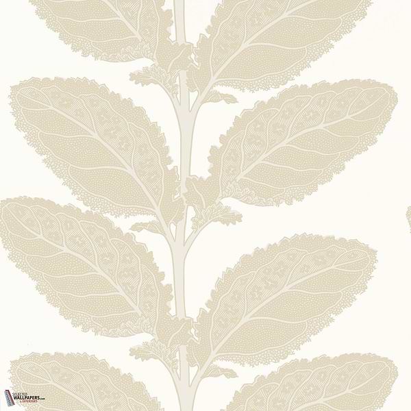 Lacinato behang-Thibaut-Birch-Rol-Selected Wallpapers-Interiors