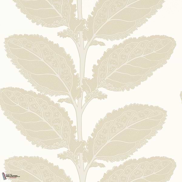 Lacinato behang-Thibaut-Birch-Rol-Selected Wallpapers-Interiors