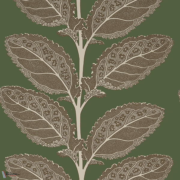 Lacinato behang-Thibaut-Wild sage-Rol-Selected Wallpapers-Interiors