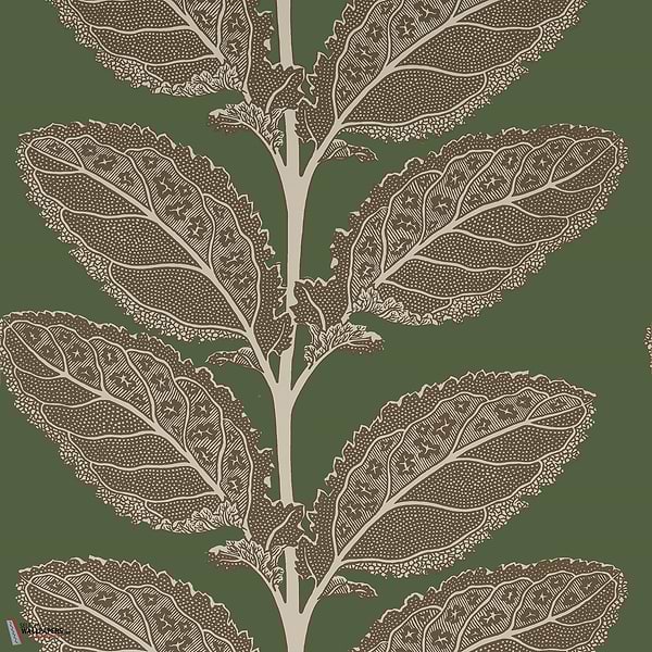 Lacinato behang-Thibaut-Wild sage-Rol-Selected Wallpapers-Interiors