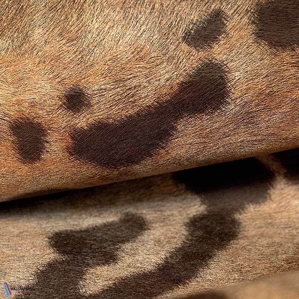 Leopard behang-behang-Elitis-Selected Wallpapers &amp; Interiors