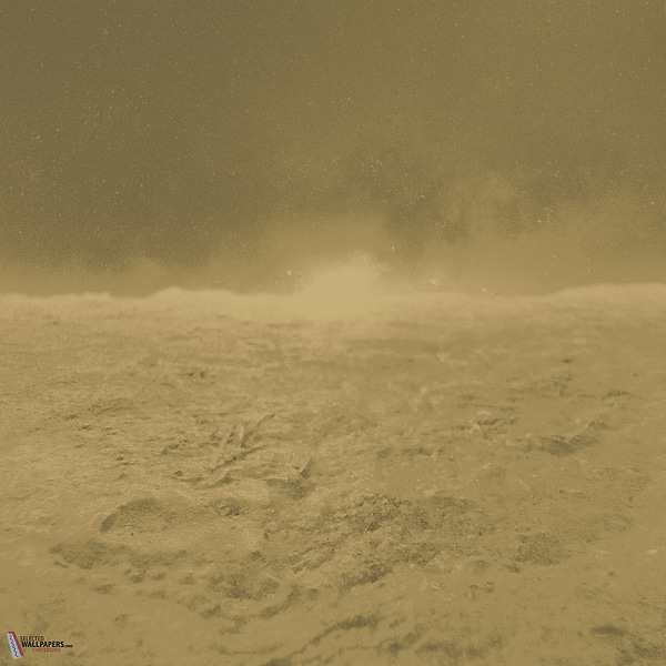 Leopardi behang-Armani/Casa-wallpaper-tapete-9970-Set-Selected-Wallpapers-Interiors