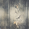 Libellula-Wall & Deco-01-d.ecodura Texture-Selected-Wallpapers-Interiors