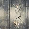 Libellula-Wall & Deco-01-d.ecodura Texture-Selected-Wallpapers-Interiors
