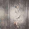 Libellula-Wall & Deco-02-d.ecodura Texture-Selected-Wallpapers-Interiors