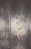 Libellula-Wall & Deco-Selected-Wallpapers-Interiors