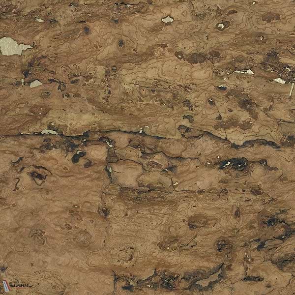 Liege behang-CMO Paris-wallpaper-tapete-Or Kaki-Rol-Selected-Wallpapers-Interiors