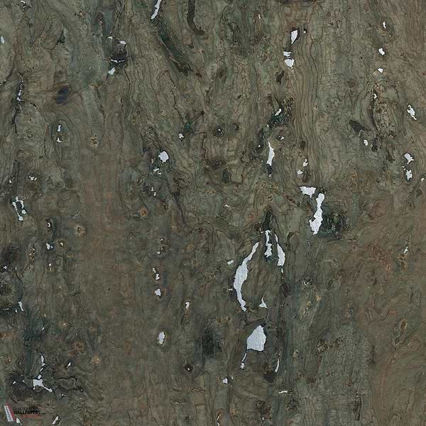 Liege behang-CMO Paris-wallpaper-tapete-Argent Epicea-Rol-Selected-Wallpapers-Interiors