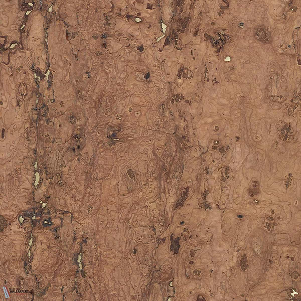 Liege behang-CMO Paris-wallpaper-tapete-Or Tabac-Rol-Selected-Wallpapers-Interiors