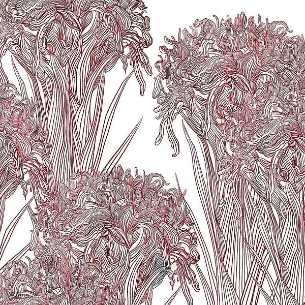 Lilly behang-Wall & Deco-02-d.ecodura Texture-M2-Selected Wallpapers-Interiors