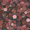 Lily Pads wallpaper-Little Greene-Adventurer-Set-Selected Wallpapers-Interiors