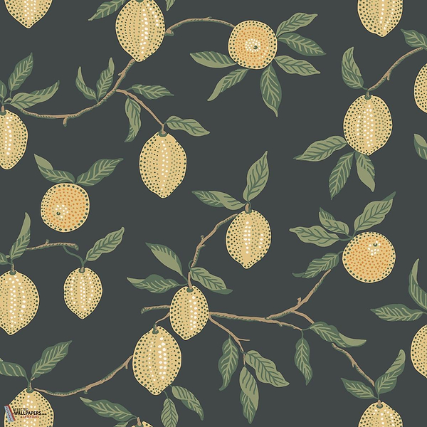 Limone wallpaper-Sandberg-Charcoal-Roll-Selected Wallpapers-Interiors