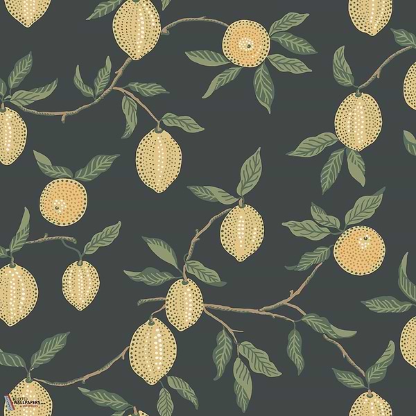 Limone wallpaper-Sandberg-Charcoal-Roll-Selected Wallpapers-Interiors