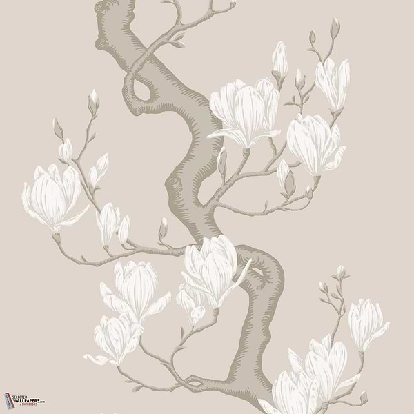 Magnolia Tree behang Cole & Son