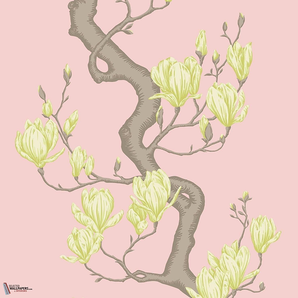 Magnolia Tree behang Cole & Son