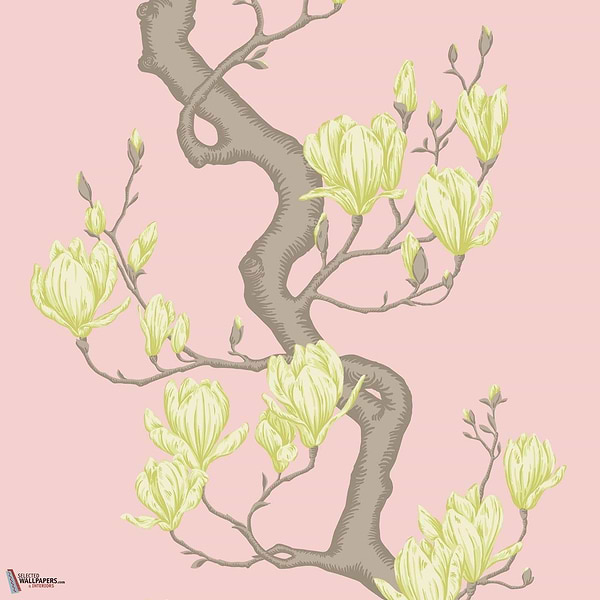 Magnolia Tree behang Cole & Son