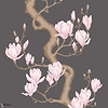 Magnolia Tree behang Cole & Son