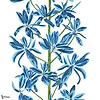 Mangrove tree behang-Thibaut-Blue and white-Rol-Selected Wallpapers-Interiors