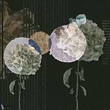 Mirabilis-Inkiostro Bianco-1-Vinyl 68 cm-Selected-Wallpapers-Interiors