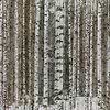 Murrine Wood behang-Tecnografica-Warm-Fabric Vinyl-M2-Selected Wallpapers-Interiors