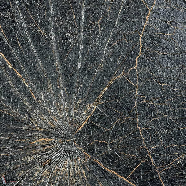 Nenuphar Sauvage behang-CMO Paris-Noir-Rol-Selected Wallpapers-Interiors