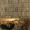 Nenuphare-CMO Paris-wallpaper-Selected Wallpapers