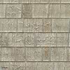 Nenuphare-CMO Paris-wallpaper-Argent-Meter (M1)-Selected Wallpapers