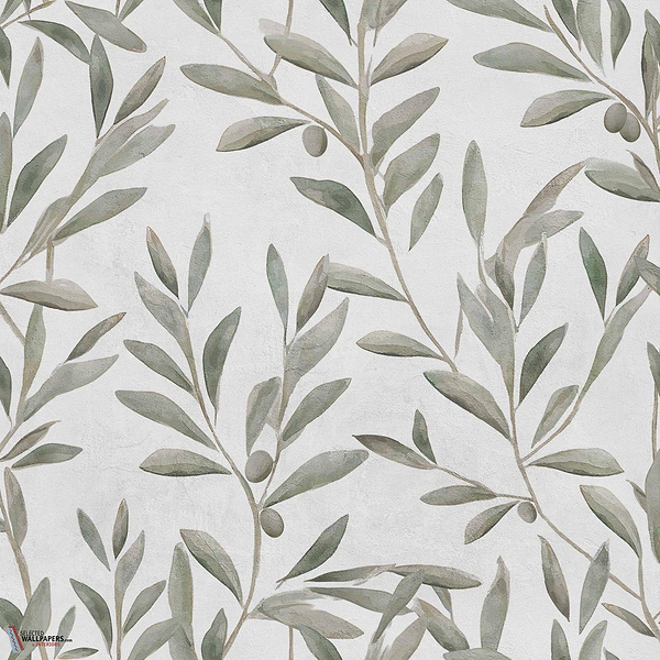 Olivetum behang-Coordonne-Matcha-Non Woven-Rol-Selected Wallpapers-Interiors