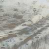 Onirico wallpaper-Wall & Deco-01-Wet System-M2-Selected Wallpapers-Interiors