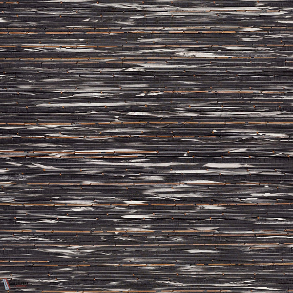 Orion ECP601 packshot