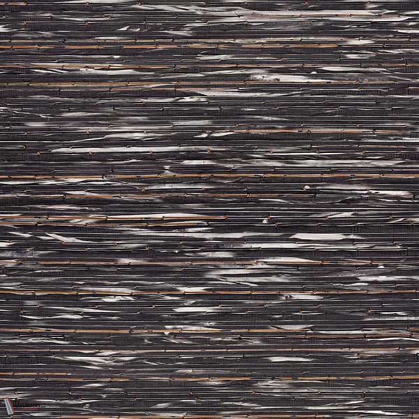 Orion ECP601 packshot