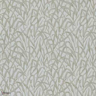 Ornamental Grasses behang-1838 wallcoverings-Selected Wallpapers &amp; Interiors