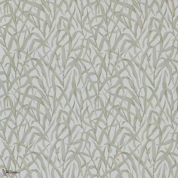 Ornamental Grasses behang-1838 wallcoverings-Selected Wallpapers & Interiors