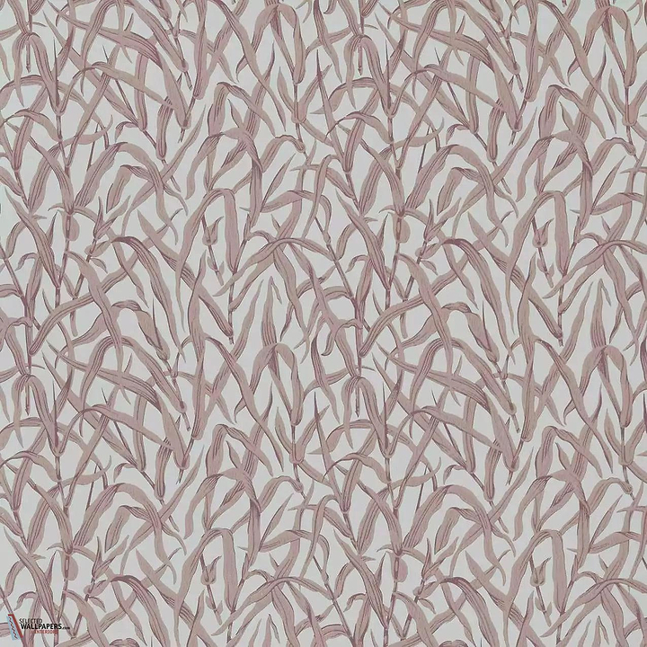 Ornamental Grasses behang-1838 wallcoverings-Selected Wallpapers &amp; Interiors
