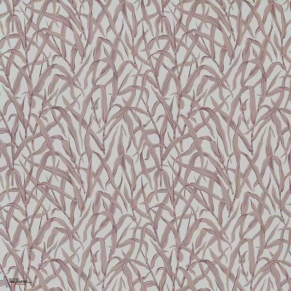 Ornamental Grasses behang-1838 wallcoverings-Selected Wallpapers & Interiors