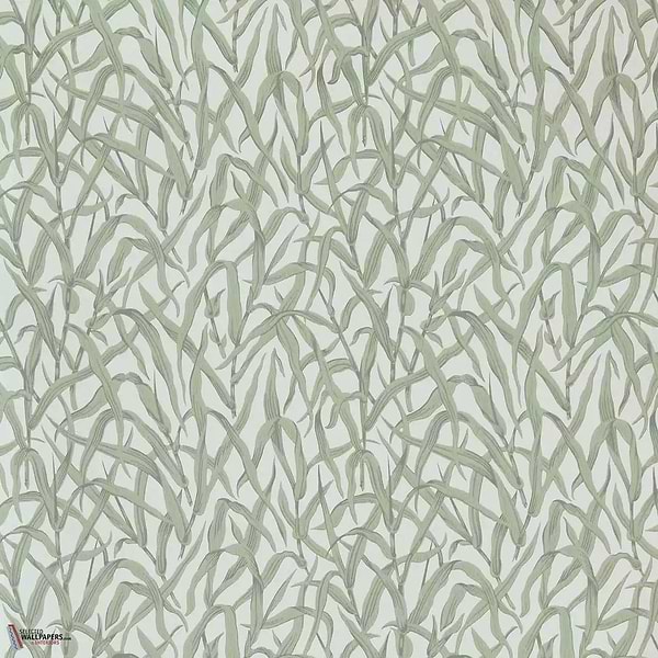 Ornamental Grasses behang-1838 wallcoverings-Selected Wallpapers & Interiors