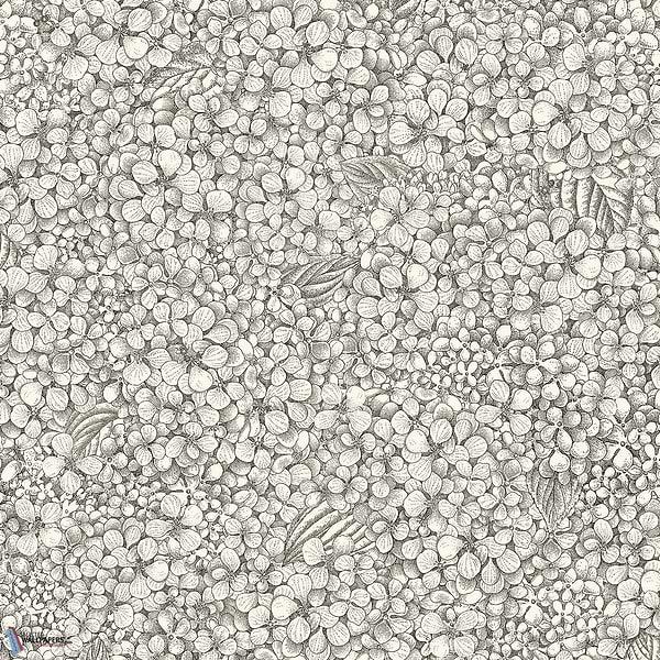 Ortensia-behang-Tapete-Cole & Son-Black & White-Rol-123/9043-Selected Wallpapers
