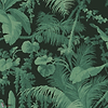 Pampas behang-House of Hackney-wallpaper-tapete-Noir-200 cm-Selected-Wallpapers-Interiors