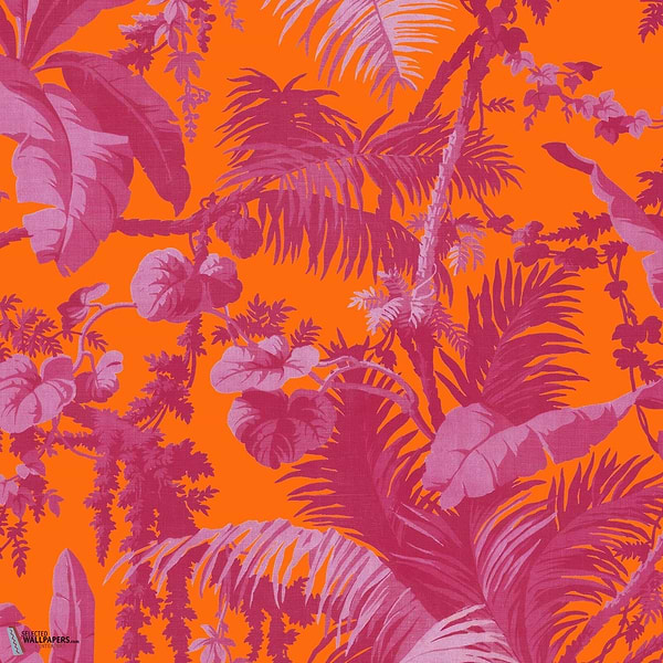 Pampas behang-House of Hackney-wallpaper-tapete-Tangerine & Azalea-200 cm-Selected-Wallpapers-Interiors