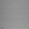 Papillon-Arte-wallpaper-Quartzite-Meter (M1)-Selected Wallpapers