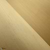 Papillon-Arte-wallpaper-Selected Wallpapers