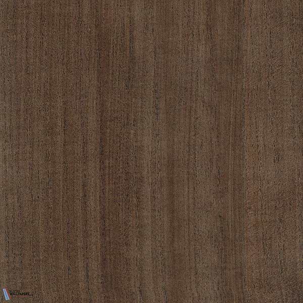 Paulownia-behang-Tapete-Greenland-Starfish-Meter (M1)-G0121NV1018-Selected Wallpapers